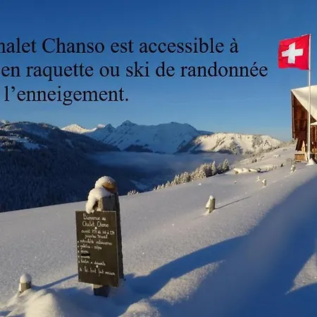Chanso Morgins