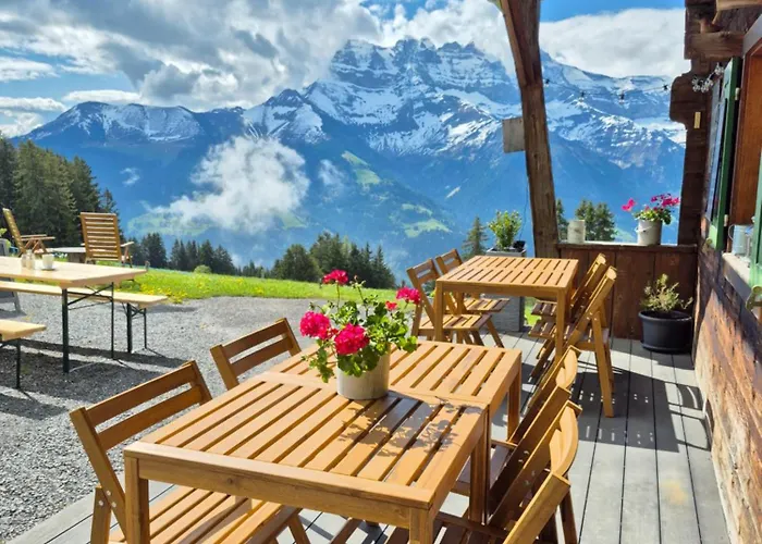 Chanso Han/Misafirhane Morgins