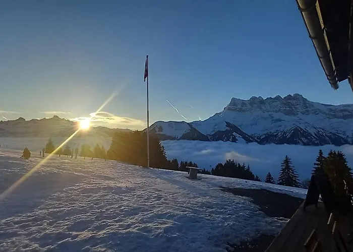 Han/Misafirhane Chanso Morgins